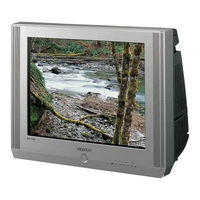 Samsung CS-29M20SSQ Instrucciones Del Usuario
