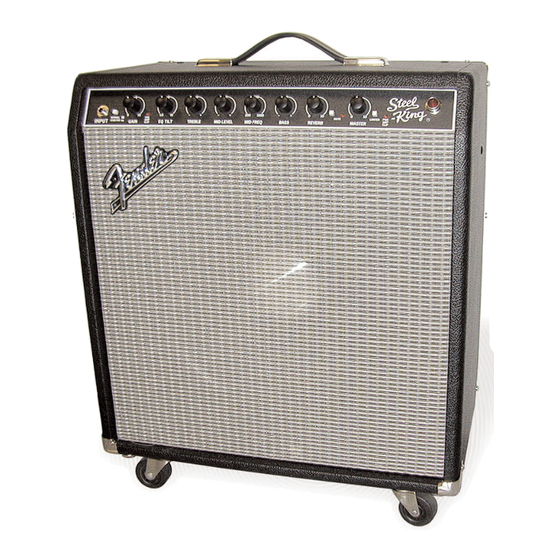 Fender D130F Owner's Manual