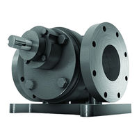 Radicon Benzlers Roloid Gear Pump Installation & Maintenance