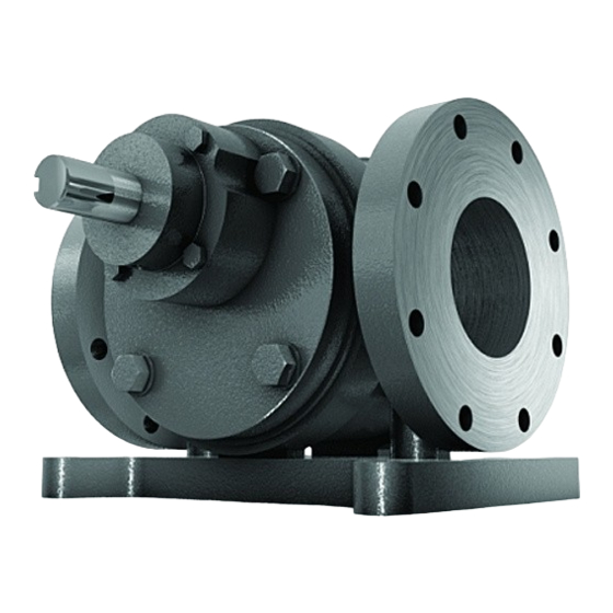 Radicon Benzlers Roloid Gear Pump Installation & Maintenance