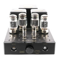 Cary Audio Design Rocket 88 R Owner's Manual
