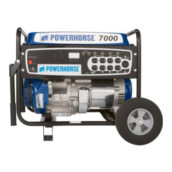 Powerhorse M166113F.2 Owner's Manual