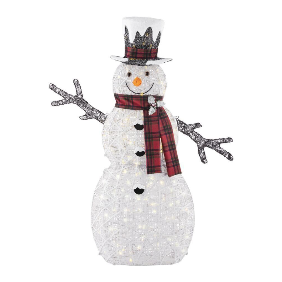 Home Accents Holiday TY462-2011 Assembly Instructions
