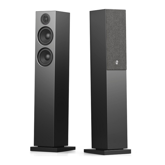 Audio Pro A38 User Manual