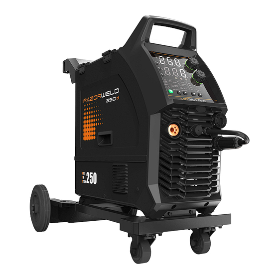 Razorweld RW250di Instruction Manual