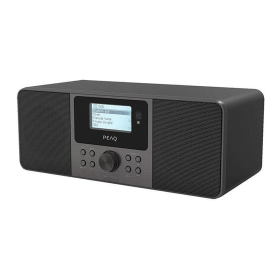 Peaq PDR261BT-B User Manual