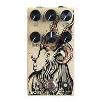 Walrus Audio Eons Manual