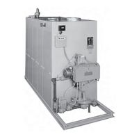 Bryan Boilers EB-200-W-FDGO Brochure & Specs
