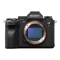Sony ILCE-1 a1 Help Manual