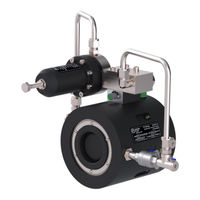 GF NeoFlow DN250 Operating Instructions Manual