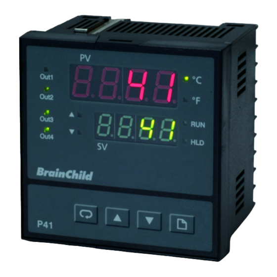 Brainchild P91 User Manual