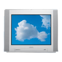 Philips 29PT9008 /12 Specifications