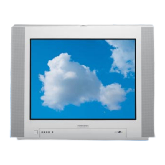 Philips 29PT9008 /12 Specifications
