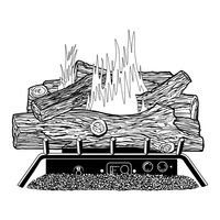 Desa Comfort Glow CGB3924PR Owner's Operation And Installation Manual