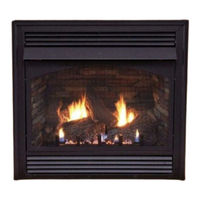 Empire Comfort Systems INTERMITTENT PILOT VFPA32BP70LP-1 Installation Instructions And Owner's Manual