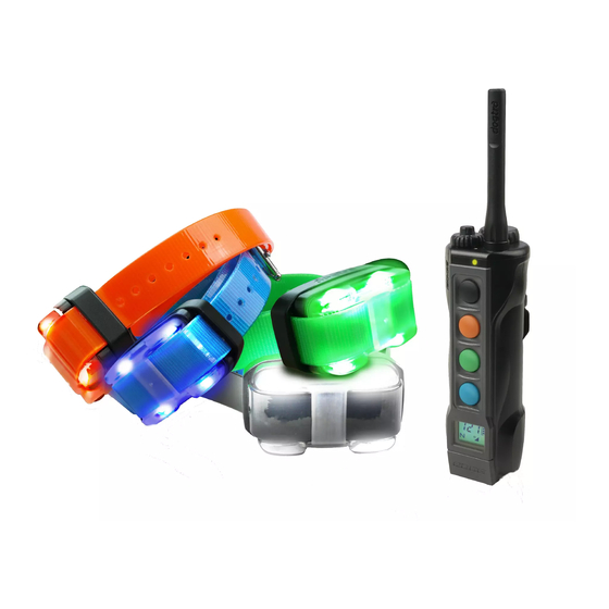 Dogtra EDGE Code Setting Manual