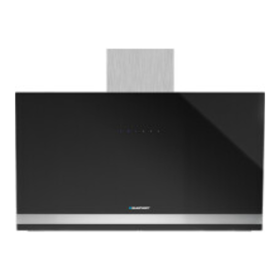 Blaupunkt 5DL66750 Instruction On Mounting And Use Manual