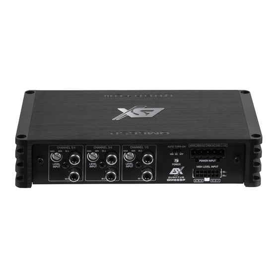 Audio Design ESX QUANTUM QM66SP Owner's Manual