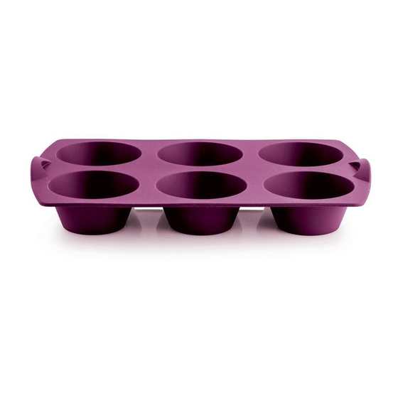 Tupperware U 43 Easyplus Loops Manual
