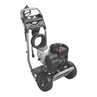 Briggs & Stratton SpeedClean 020239-1 Owner's Manual