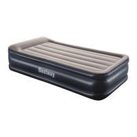 Bestway P3042 Owner's Manual