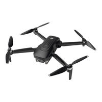 Holy Stone HS175G User Manual