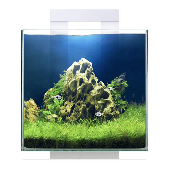 CIANO Nexus Pure 15с User Manual