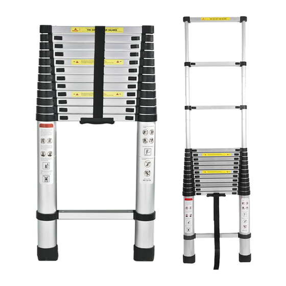 Mr Safe Telescopic Ladder User Manual