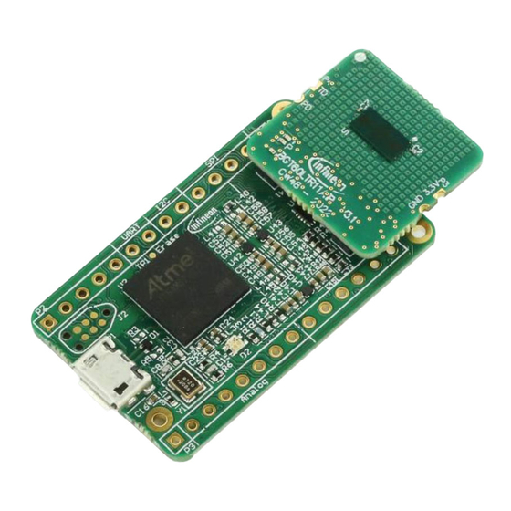 Infineon XENSIV BGT60LTR11AIP EBG shield Manual