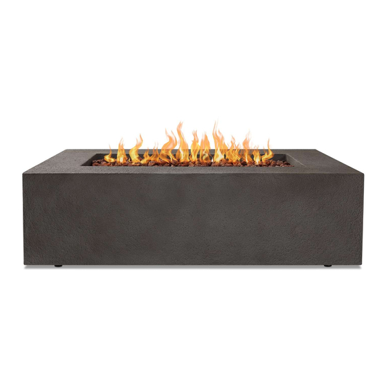 RealFlame T9650 NG Owner's Manual