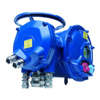 Bernard Controls STX Series Instructions For Start-Up