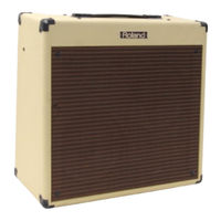Roland BluesCube BC-30/210 Owner's Manual