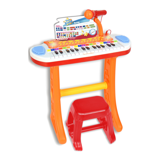 Bontempi 13 3225 Owner's Manual