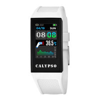 Calypso Watches K8501 User Manual