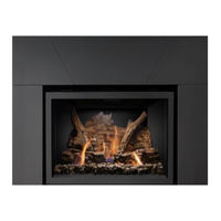Napoleon IR3-1 Quick Start Manual