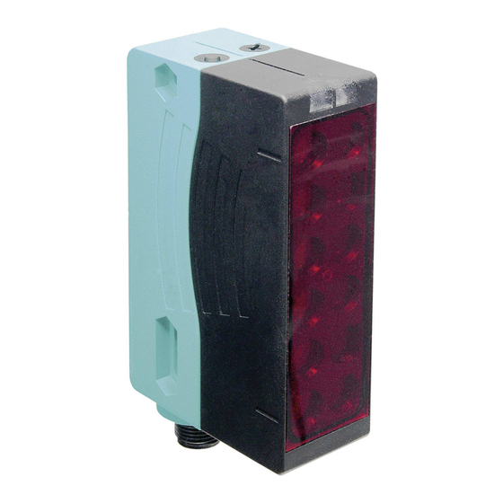 Pepperl+Fuchs RLG28 Series Manual