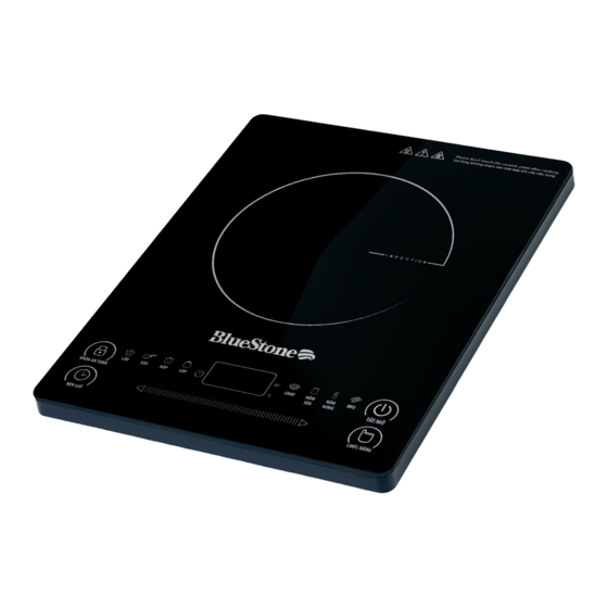 Bluestone ICB-6619 User Manual
