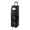 QFX PBX-410215 - Portable Rechargeable Battery Speaker Instructions