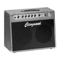 Cicognani 6v6 Amp JAZZ & BLUES Operating Manual