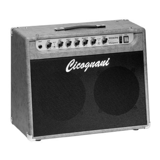 Cicognani 6v6 Amp JAZZ & BLUES Operating Manual