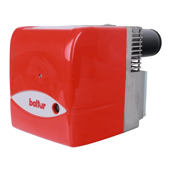 baltur RiNOx 60 L2 Instruction Manual For Use