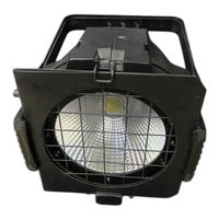 Nicols PAR COB 100 MW User Manual