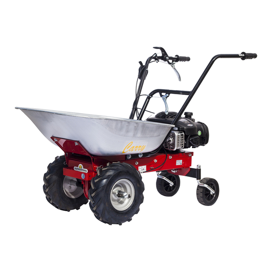 Eurosystems Carry Manual