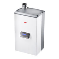 Riello Condexa Pro 100 P Manual