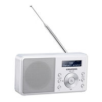 Grundig Music 6000 DAB+ Manual