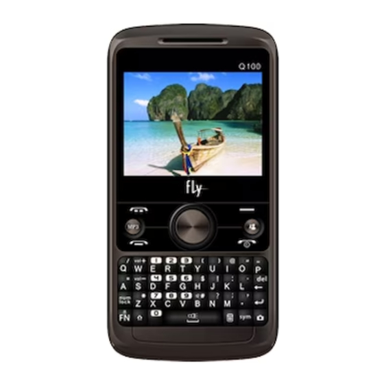 FLY Q100 User Manual