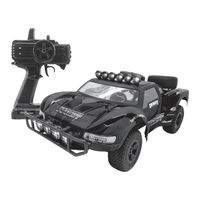 Carisma MS-113WP Instruction Manual