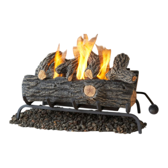 Real Flame 8805700 Instruction Manual