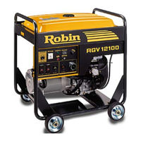 Robin America RGV13100T Instructions For Use Manual
