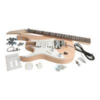 BYO Guitar JEM Assembly